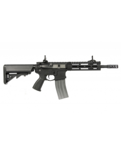 FUSIL G&G CM16 RAIDER 2.0...
