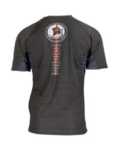 CAMISETA RAGNAR AESIR TOUR...