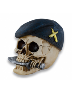 CALAVERA RESINA CALAVERA...