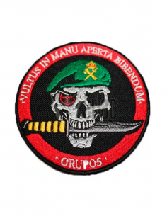 PARCHE BORDADO CALAVERA CON...