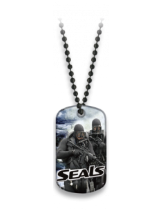 PLACA CON CADENA DE BOLAS...