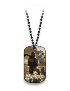 PLACA CON CADENA DE BOLAS...