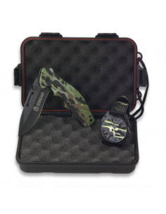 SET: 34162+33854+19845-A