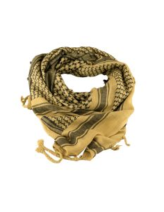 PALESTINA ARIDA GRANADA