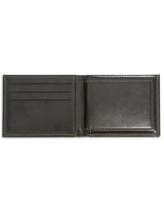 CARTERA PORTA PLACA CNP...